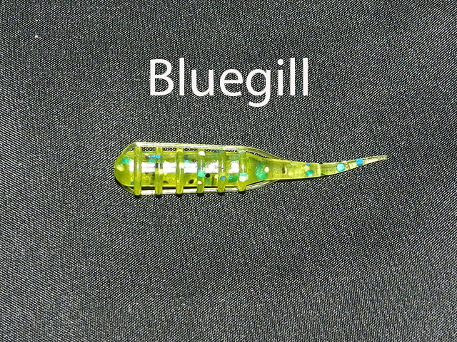 Morph Bluegill