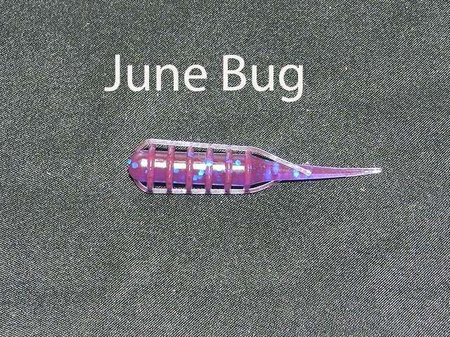 Morph June Bug